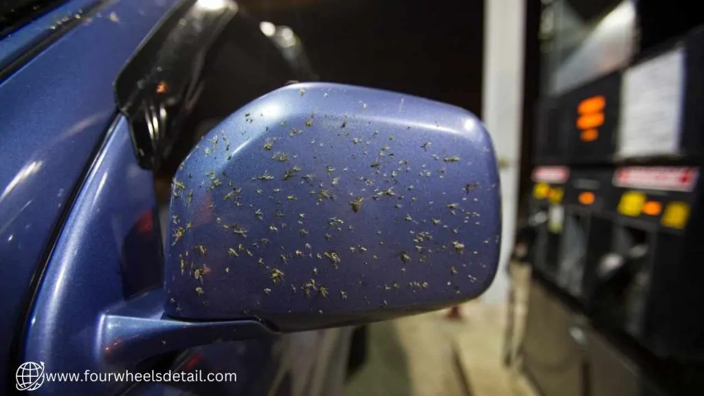 Step-by-Step Guide to Safely Removing Bugs From Your Car