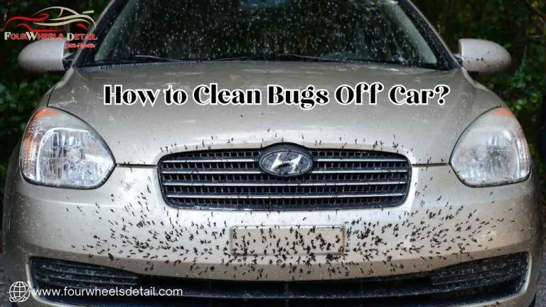 How to Clean Bugs Off Your Car?